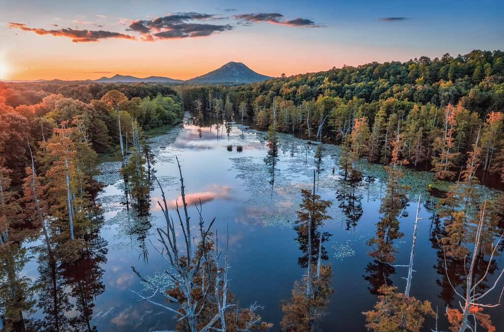 Unrestricted Giving, QCDs, and Why They Matter